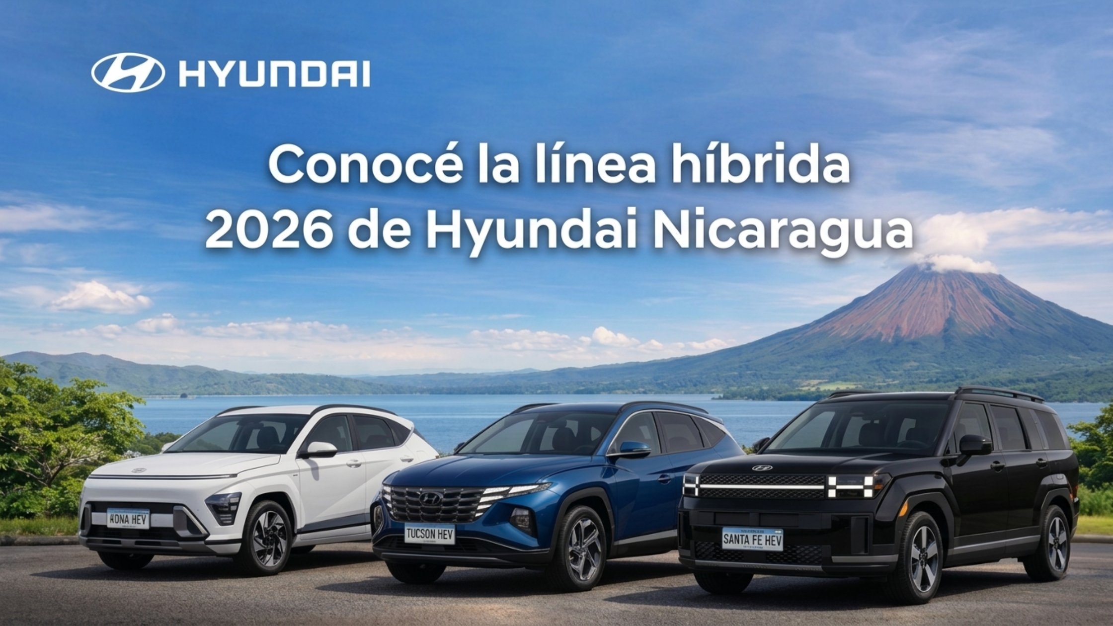 Banner Hyundai
